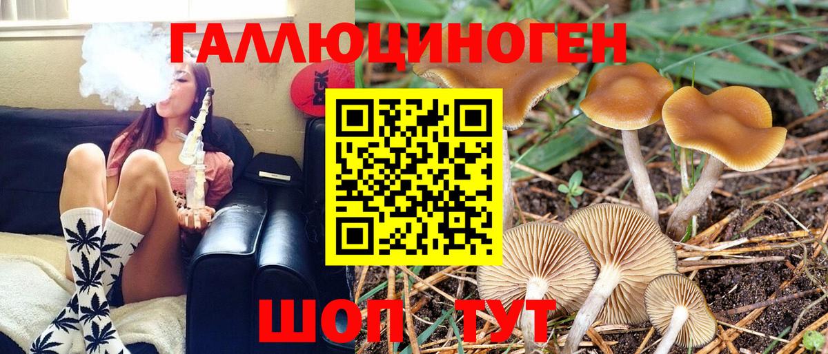 Псилоцибиновые грибы Magic Shrooms Славянск-на-Кубани