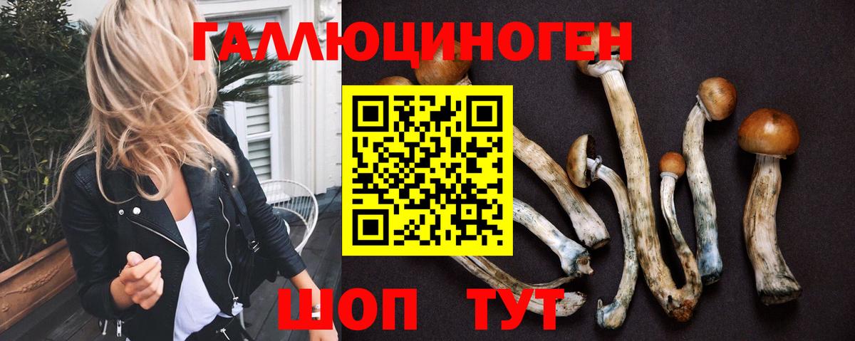 Псилоцибиновые грибы MAGIC MUSHROOMS  Вход с VPN  Славянск-на-Кубани  Галлюциногенные грибы мицелий 
